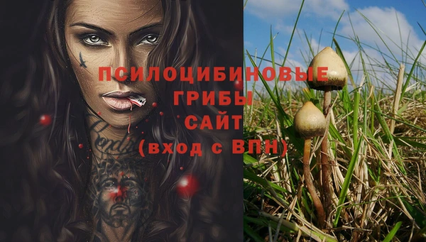 стаф Арсеньев
