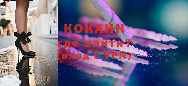 стаф Арсеньев