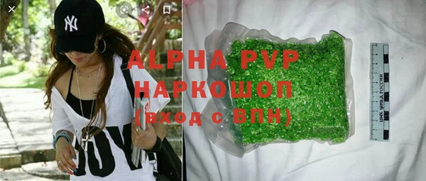 стаф Арсеньев