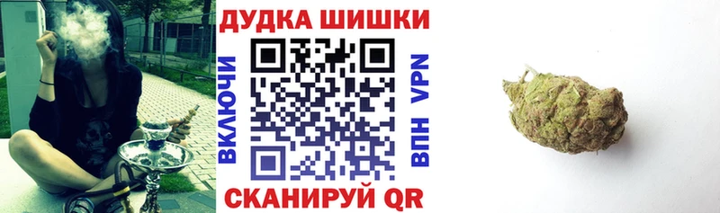 где купить Тарко-Сале гидра как зайти Конопля THC 21%